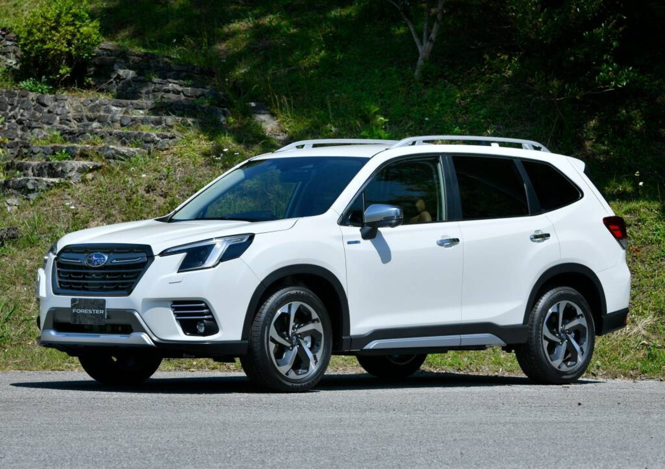 Subaru forester цвета