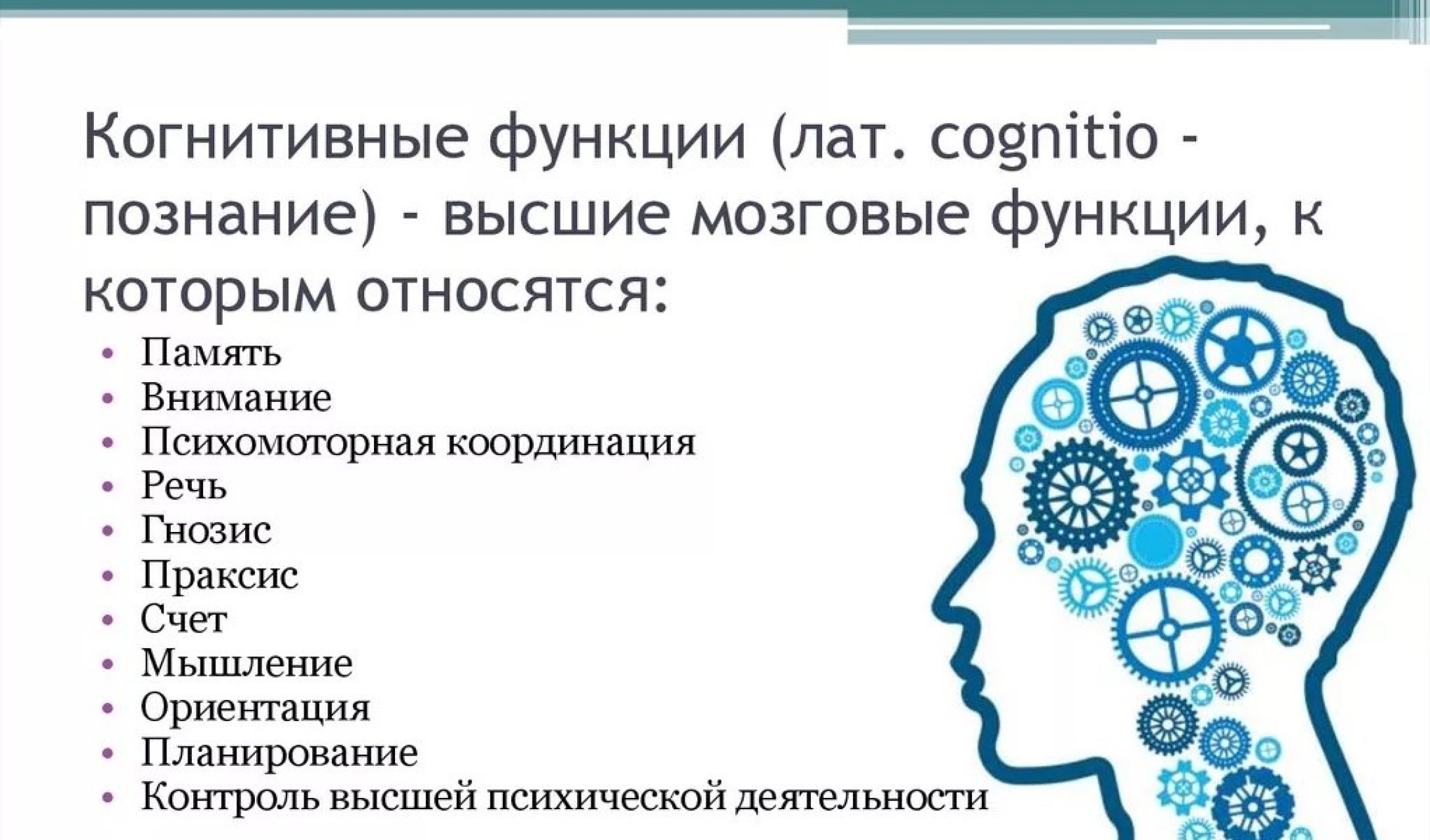 Нарушение когнитивных функций мозга. Перечень когнитивных функций. Конгитивнвные функции. Когнитивные функции. Когнитивные функции мозга.