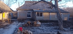До міста — 20 км: жінка купила хату в селі за $800, але є нюанси (фото)