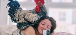 Домашний любимец: украинка держит петуха в доме вместо кота или собаки (видео)