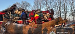ДТП у Львівській області: міжнародний автобус в'їхав у дерево, постраждали пасажири