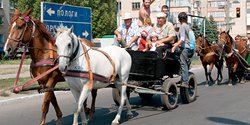 Оплот батьки Махно. Едем на родину отца украинской анархии
