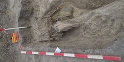 Золотой перстень и серебряные украшения: в Венгрии нашли чрезвычайно богатое захоронение элитного воина (фото)