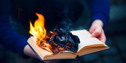 Оцифровать и ликвидировать: ИИ-компании массово скупают бумажные книги и уничтожают их после сканирования