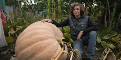Тыква на 210 килограммов: 13-летний школьник из Сум претендует на рекорд Украины