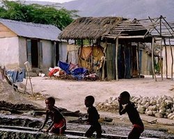 Голландские семьи намерены усыновить осиротевших детей с Гаити