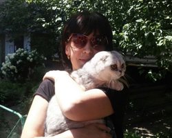 Взрыв на Позняках: спустя две недели после ЧП спасатели нашли под завалами кошку