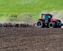 Щедрая-невеселая жатва: радость рекордного урожая омрачают шаткие перспективы экспорта