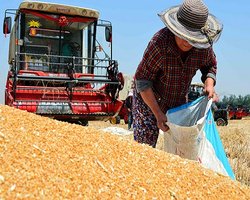 Еврокомиссия намерена запретить импорт четырех агрокультур из Украины, – СМИ