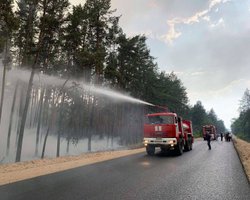 На Луганщине снова горит лес: обстреляли боевики