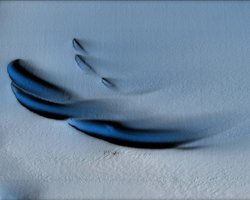 Робот-дослідник безслідно зник під льодом Антарктиди: вчені вже знайшли йому заміну (фото)