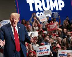 Не только Маск: что известно о "созвездии миллиардеров", которое Трамп собрал вокруг себя