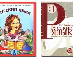 Зурабов будет возрождать русский язык в Украине