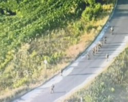 Прорыв под Курском: быстро снять десятки тысяч войск РФ с Харьковщины невозможно, — эксперт