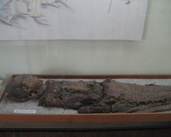 Хранили мертвецов для арт-терапии: ученый раскрыл главный секрет мумий Чинчорро