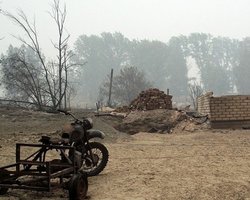 Эстонии угрожает дым от российских лесных пожаров