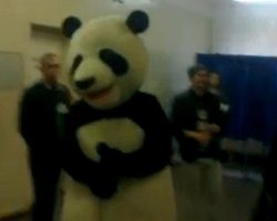 Киевлянин пришел на избирательный участок в костюме панды