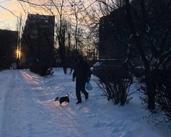 Холода до -25: синоптик спрогнозировал, сколько продлится морозная погода в Украине