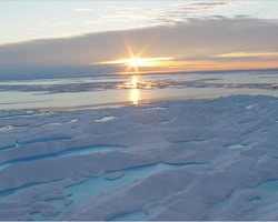 Ученые: Арктика ставит рекорды по теплу, а Антарктида - по количеству льда