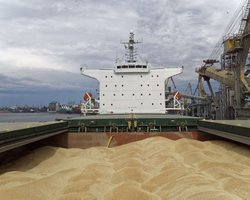 Меньше России, меньше ЕС. Где украинские экспортеры нашли рынки сбыта в 2020