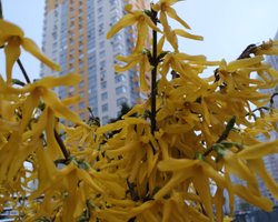 Налог на недвижимость. Кого в 2023 году освободили от уплаты, а кому нужно платить