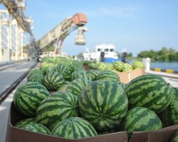 Украинцы останутся без херсонских арбузов из-за подрыва Каховской ГЭС, — СМИ