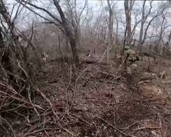 "Волки Да Винчи" штурмом взяли позицию "вагнеровцев" в районе дороги на Бахмут (видео боя)