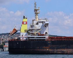 Первый украинский сухогруз с кукурузой и соей прибыл в Италию