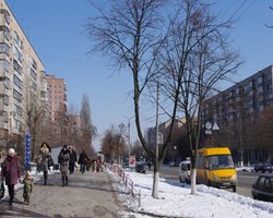 По округу в Броварах в Раду будет баллотироваться "массажист Азарова", - СМИ