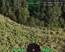 ВС РФ захватили бойцов ВСУ в Курской области, а затем вместе с ними сдались в плен (видео)