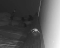 Семья была была в восторге от отеля, пока скрытая камера не показала нечто странное