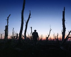 Український фільм "2000 метрів до Андріївки" отримав престижну премію "Еммі"