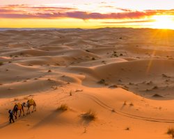 Люди не могут воссоздать этот процесс: откуда на самом деле берется пыль из Сахары