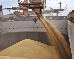 Литва открыла новый коридор для украинского зерна через порты, — министр