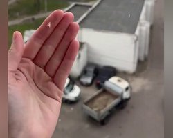 Місяць до літа: у Києві пішов сніг, якою буде погода весь тиждень (відео)