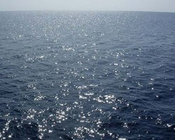 Море около Одессы становится пресным и теплеет