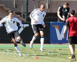 ЧМ-2010: обезьяна предсказала поражение Германии от Ганы