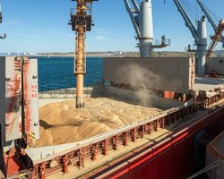 ЕС изучает альтернативные маршруты для украинского зерна через Италию и Грецию, – Еврокомиссия