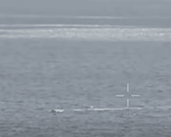 Пытался атаковать порт: возле Одессы уничтожили российский морской дрон (видео)