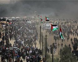 Столкновения на границе сектора Газа: 55 погибших, более 2 000 пострадавших