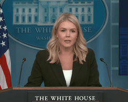 "Это не решение президента": у Трампа объяснили, почему приостановили поставки оружия Украине (видео)