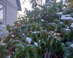 Зберігаються морози до -28: Діденко розповіла, коли очікується потепління в Україні