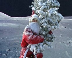 В Киев прилетел Йолопукки 