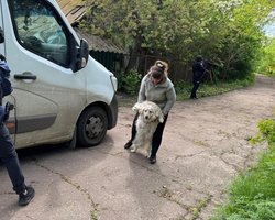 Прячутся от ТЦК: на Сумщине люди отказываются эвакуироваться из приграничной зоны (видео)