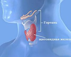 Чернобыль вызвал рост заболеваний раком, - эксперт