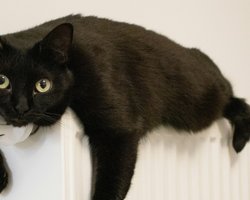 Что делать, когда нет ни отопления, ни света: 5 способов согреться в квартире зимой