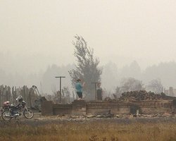 Число жертв пожаров в России достигло 50 человек