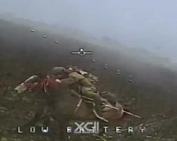 ВС РФ начали использовать лошадей на фронте: дрон ВСУ атаковал российского кавалериста (видео)