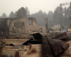 Лесные пожары в России: число погибших достигло 52 человек 