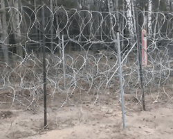 На польско-белорусской границе слышна автоматная очередь (видео)